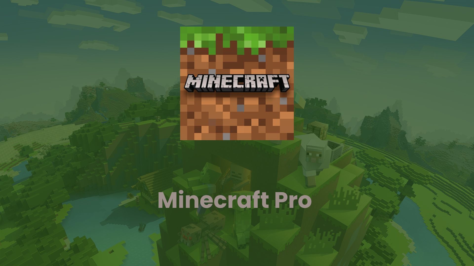 Minecraft Pro